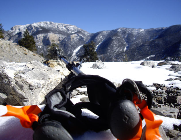mt_charleston